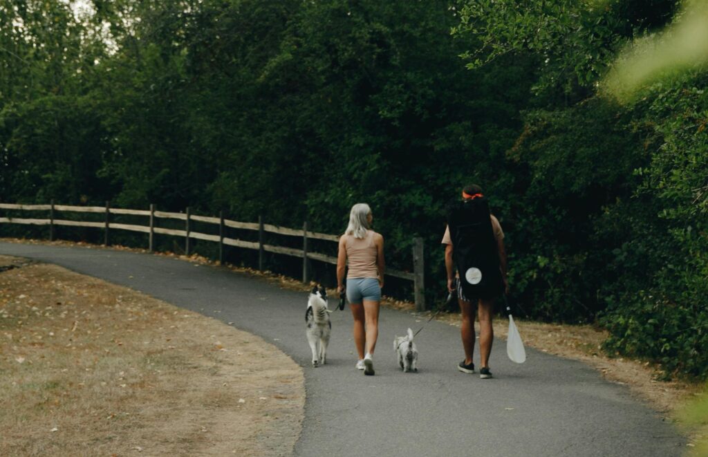 social walk
