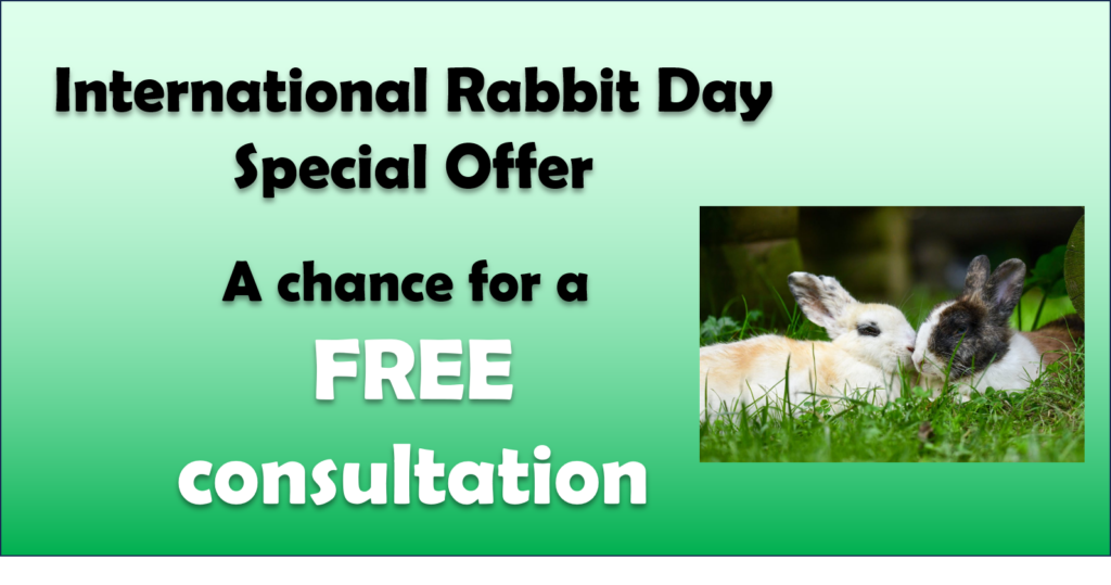 International Rabbit Day special offer
